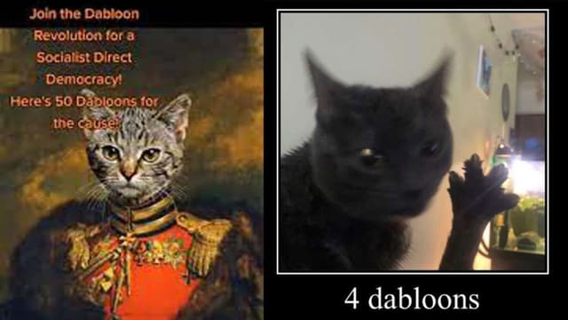 Three Dabloons Cat “Dabloons” trend rocks Tiktok and develops into an imaginary economy ...